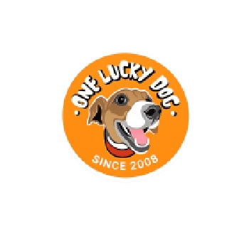 One Lucky Dog